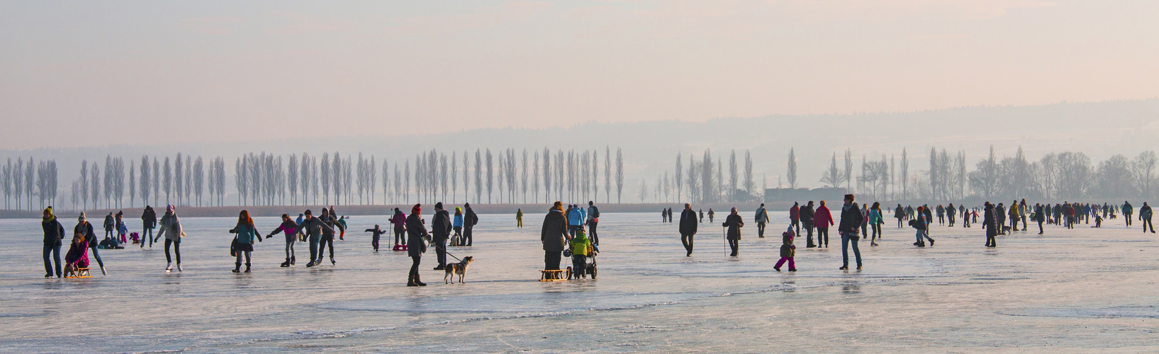 Gefrorener Bodensee bei Allensbach am 27.01.2017