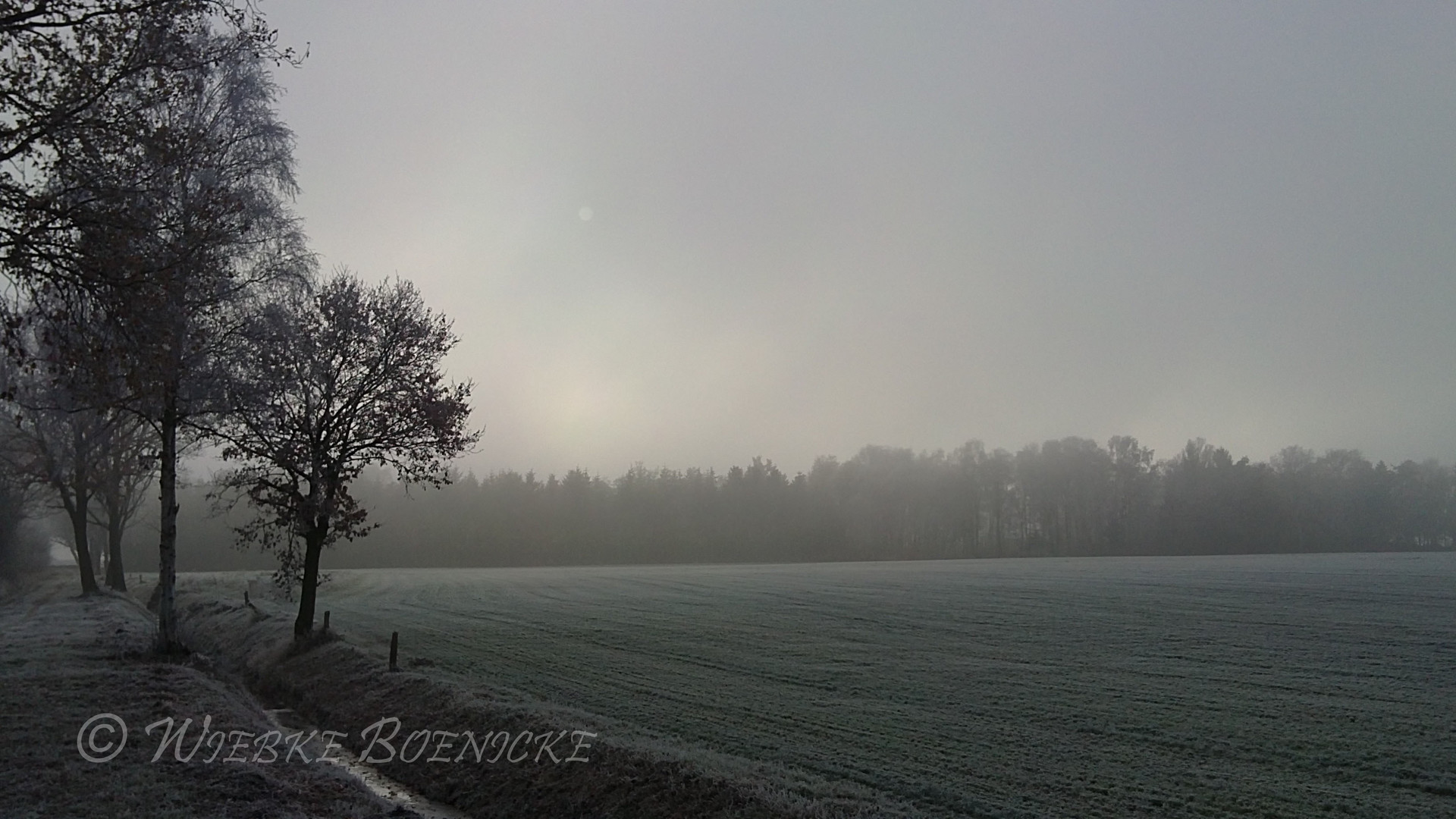 gefrorener Feldweg im Winter