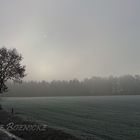 gefrorener Feldweg im Winter