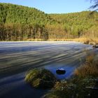 Gefrorener Fischteich an einem sonnigen Wintertag