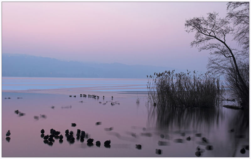 Gefrorener Greifensee