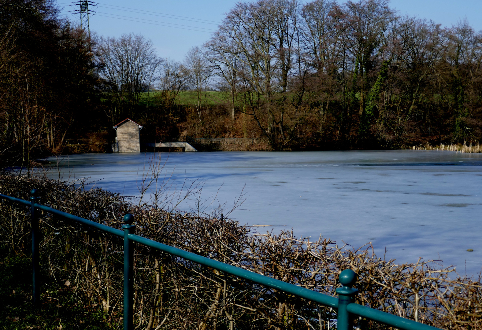 Gefrorener Mühlenteich 