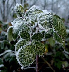 gefrorener Nebel