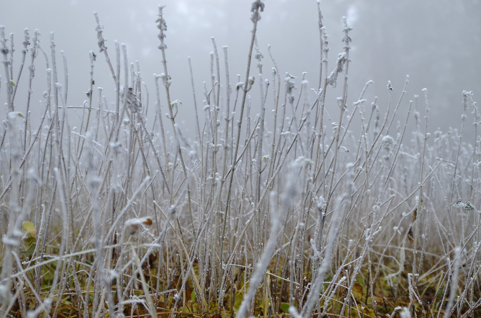 gefrorener Nebel