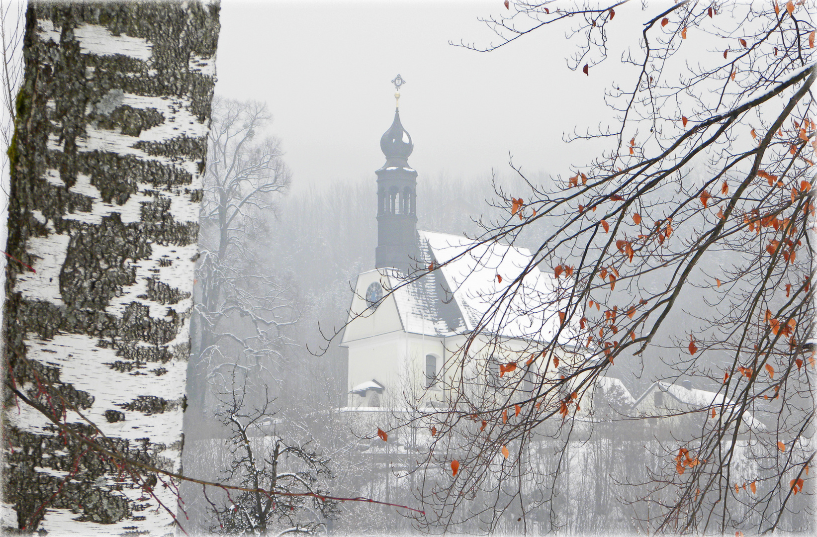 Gefrorener Nebel....