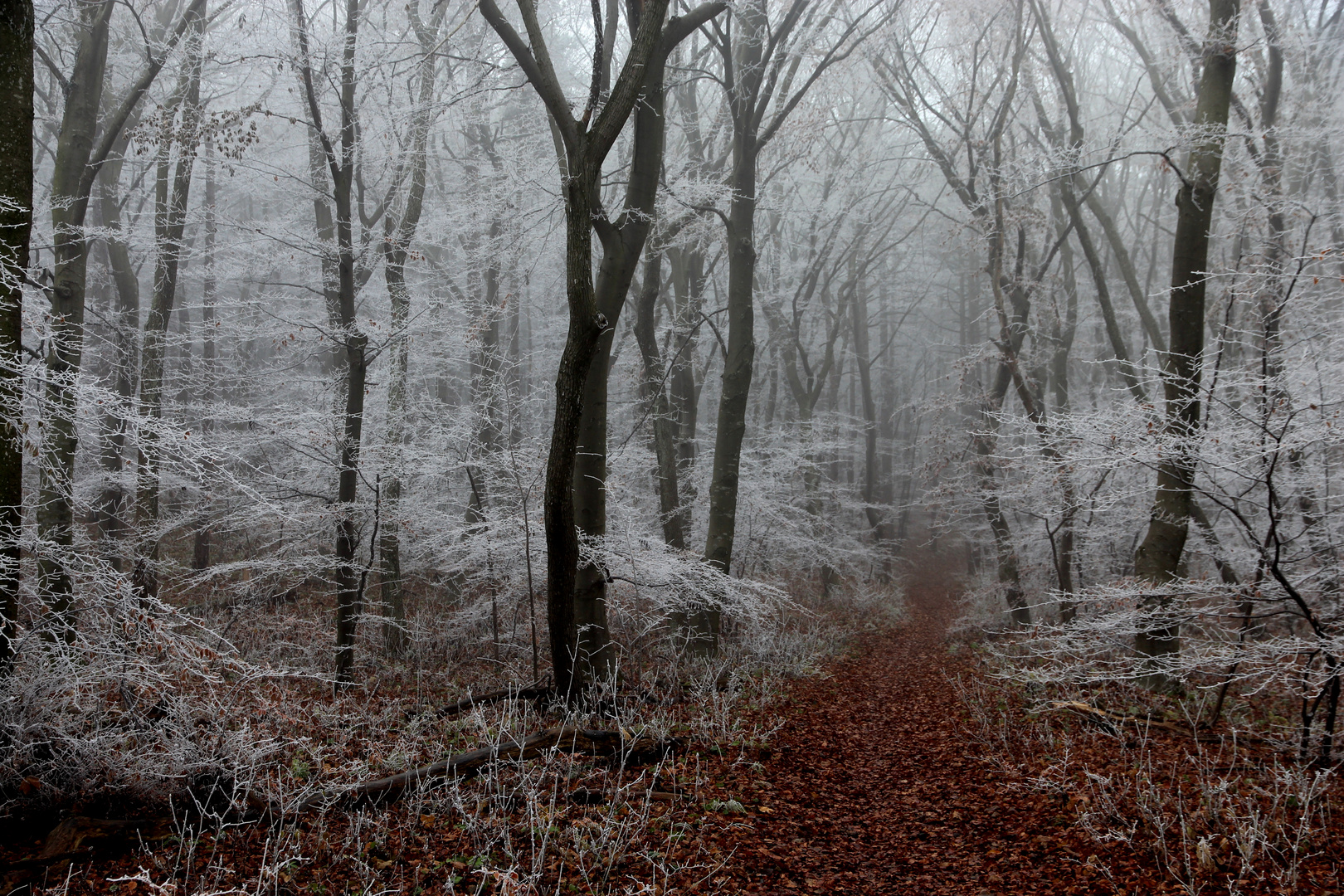 gefrorener Nebel