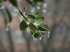 gefrorener Regen