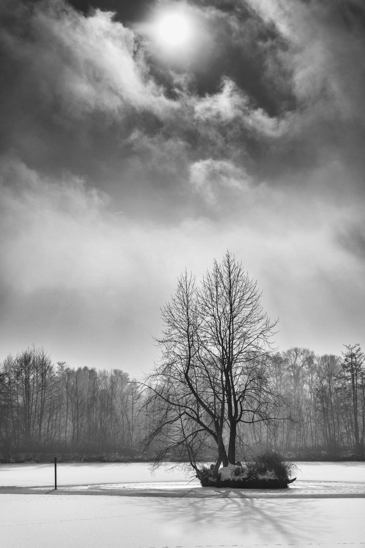 Gefrorener See / Frozen lake