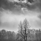 Gefrorener See / Frozen lake