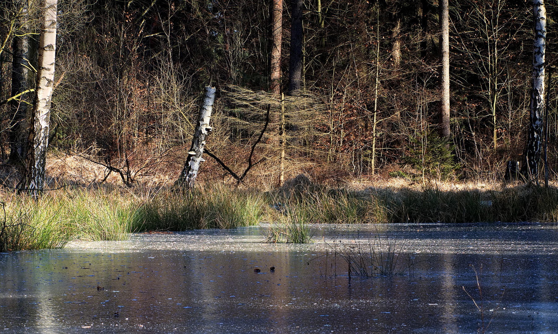 gefrorener See mit Uferblick