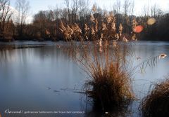 gefrorener Seitenarm der Traun bei Lambach