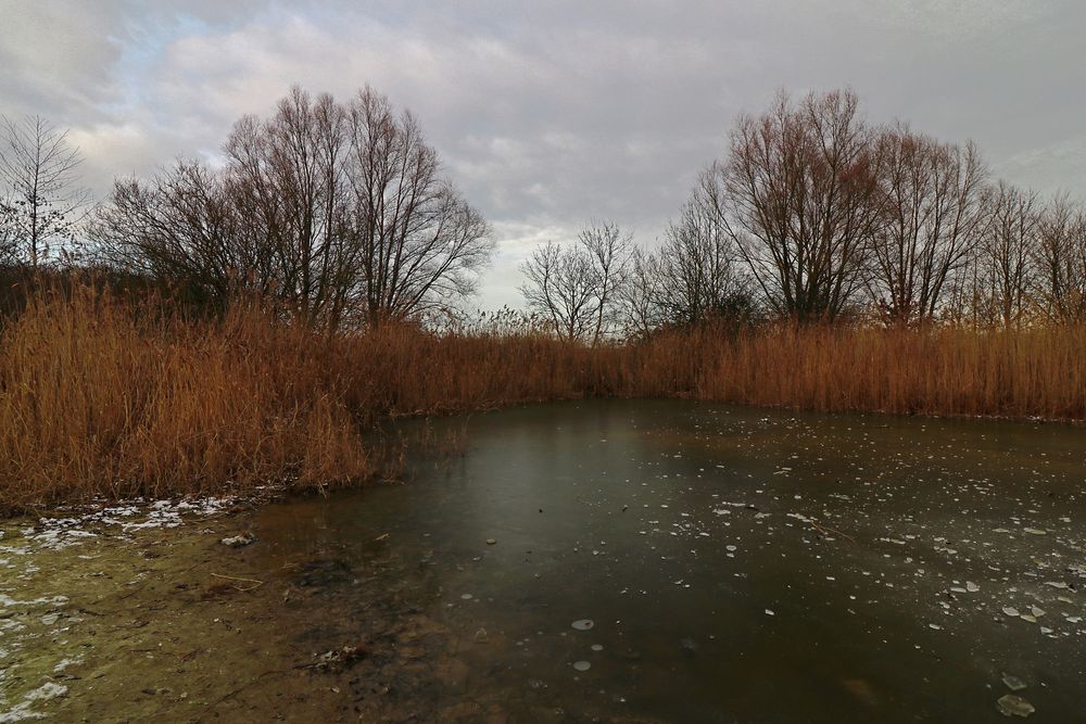 Gefrorener Teich im Westpark Foto & Bild landschaften, wasser, bäume