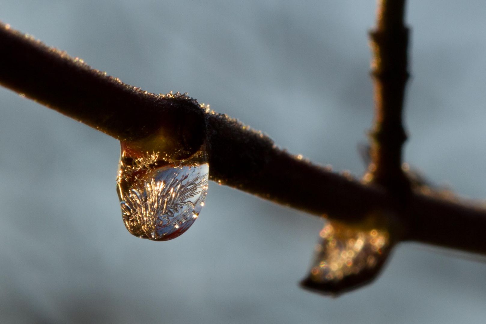 Gefrorener Wassertropfen