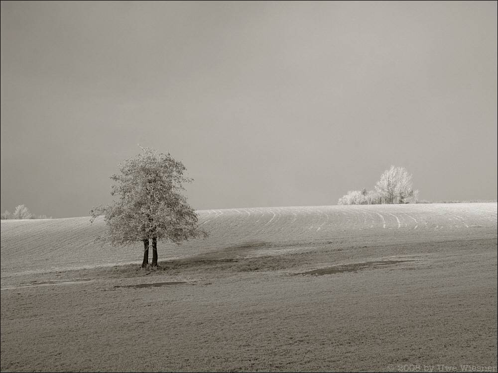 gefrorenes Feld