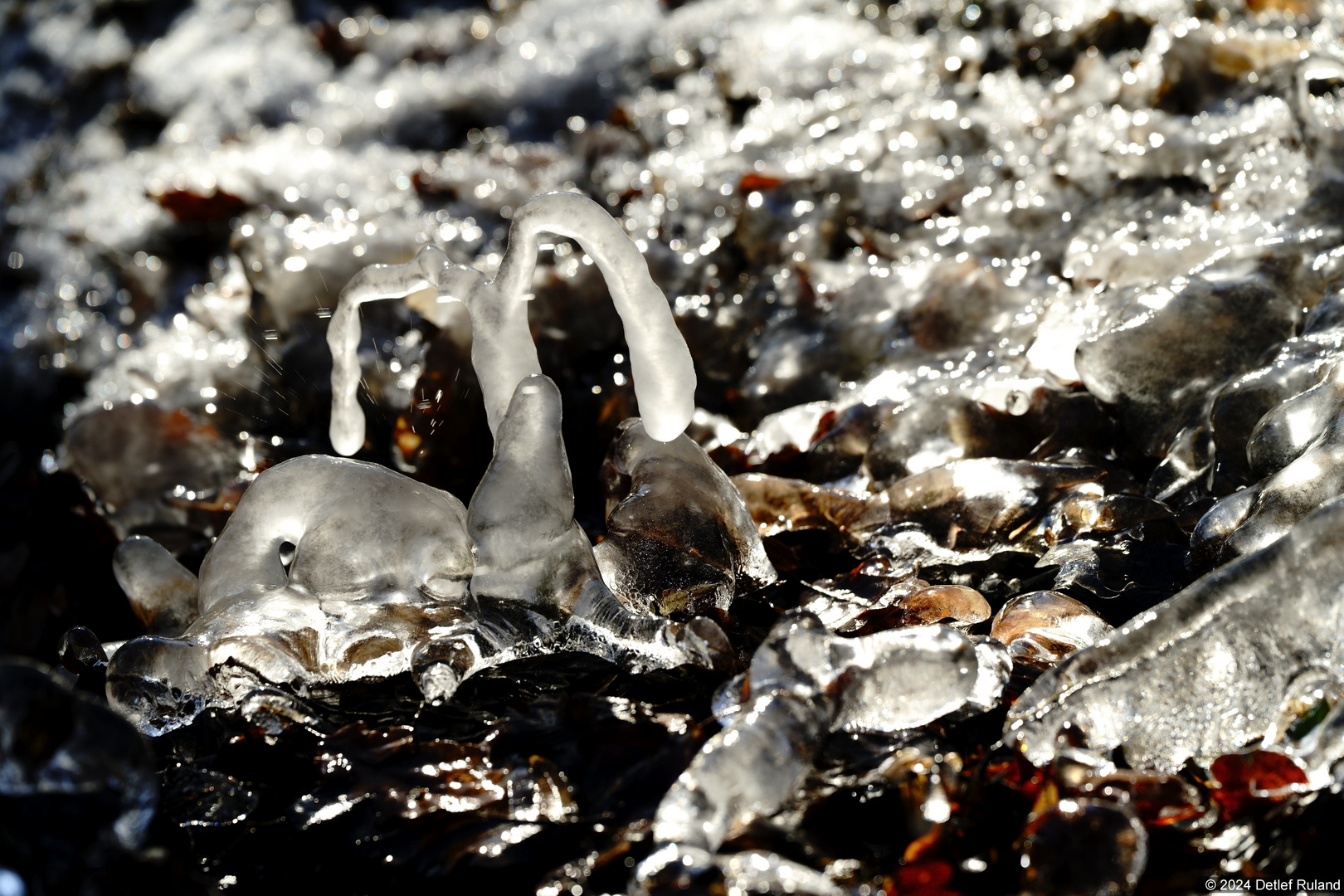 Gefrorenes Spritzwasser am Bach # 2