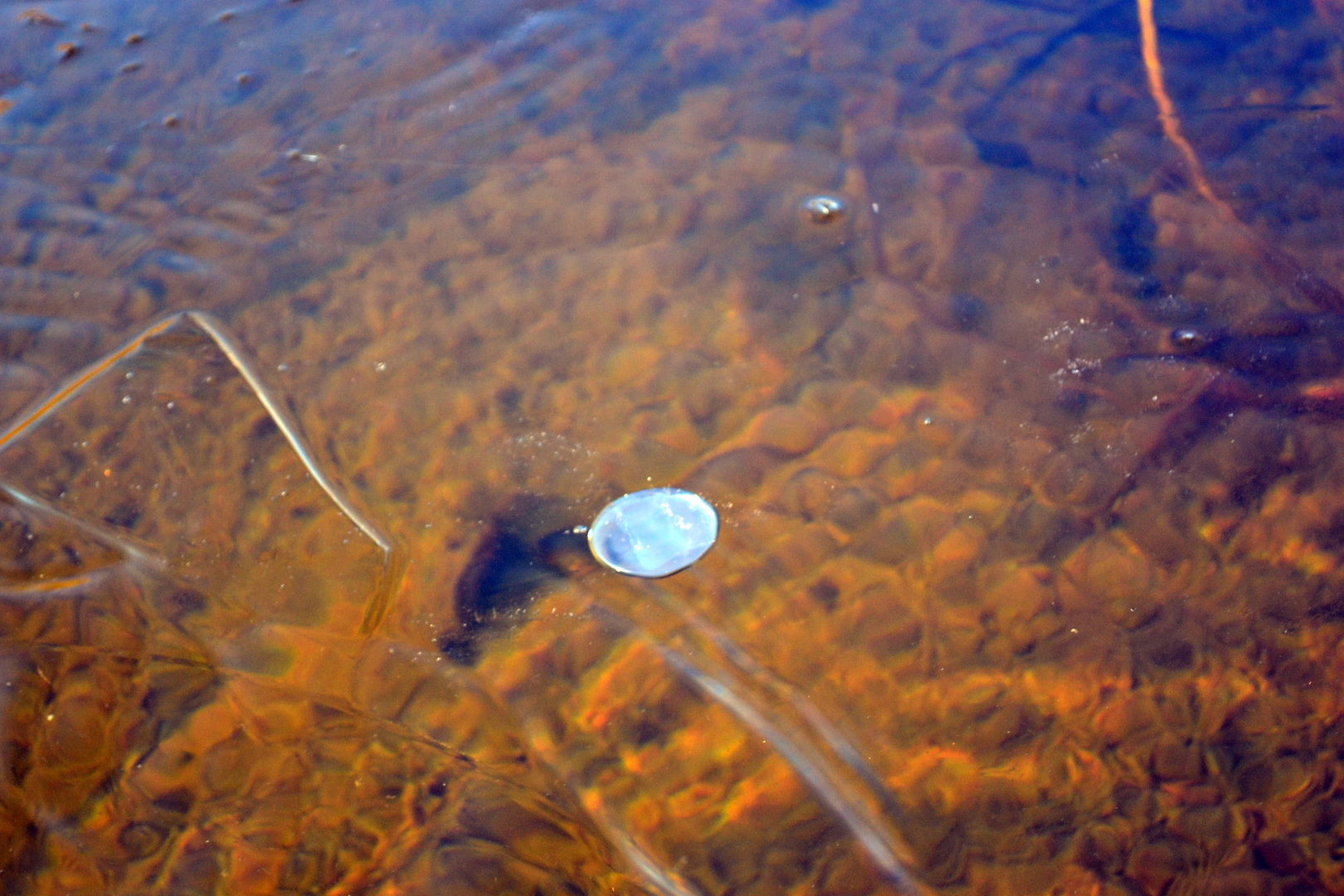 gefrorenes wasser