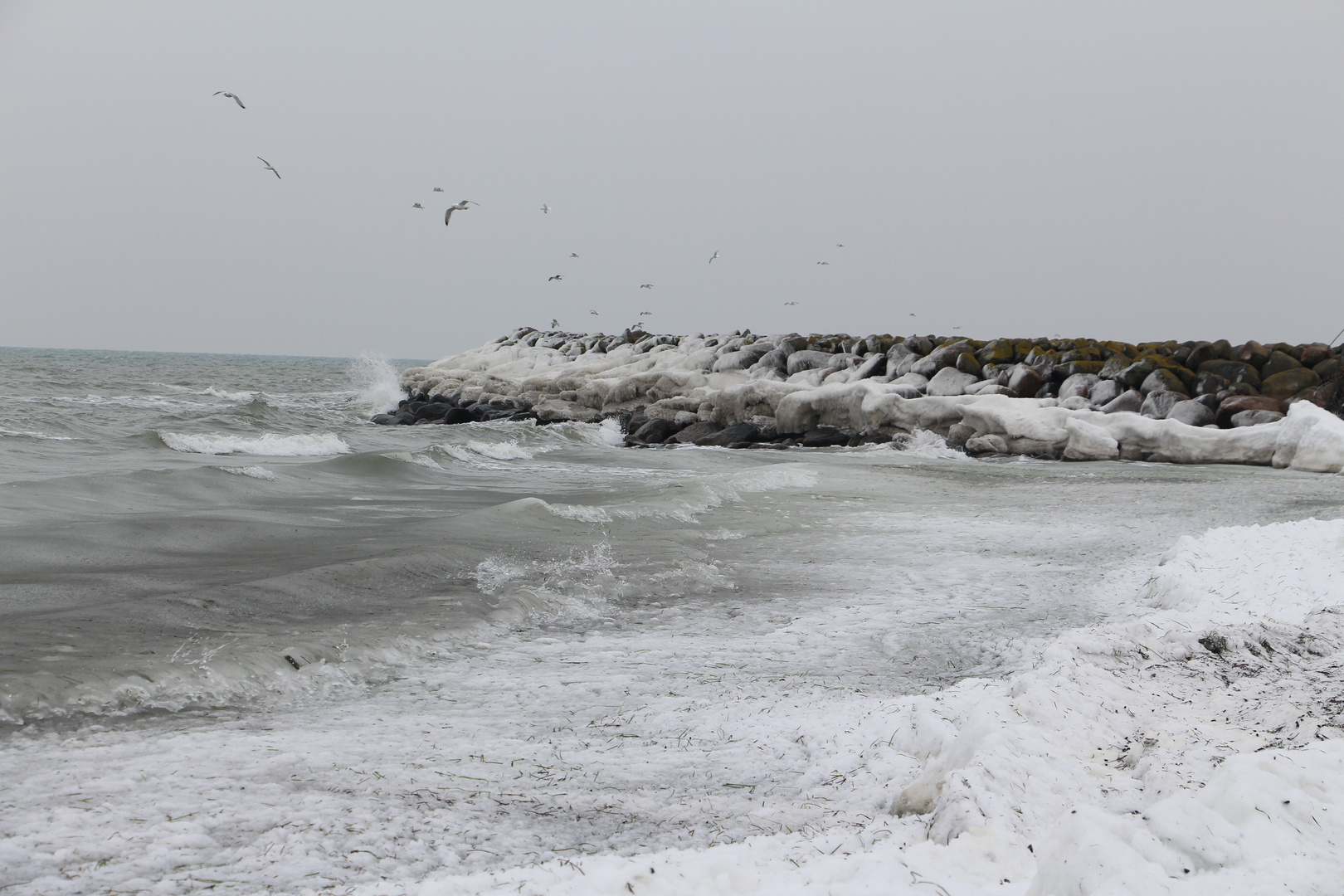 gefrostete Ostsee 4