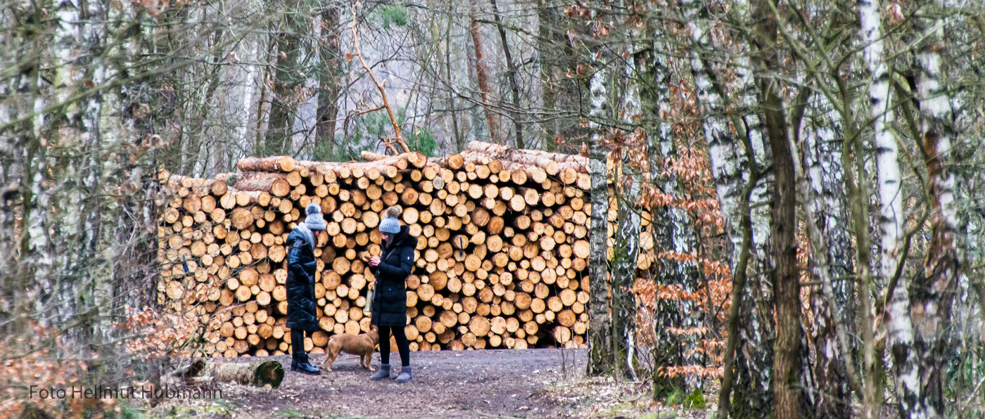 GEFÜHLTE 27 SEKUNDEN NACH BEGINN DES WALDSPAZIERGANGS DIE ERLÖSUNG