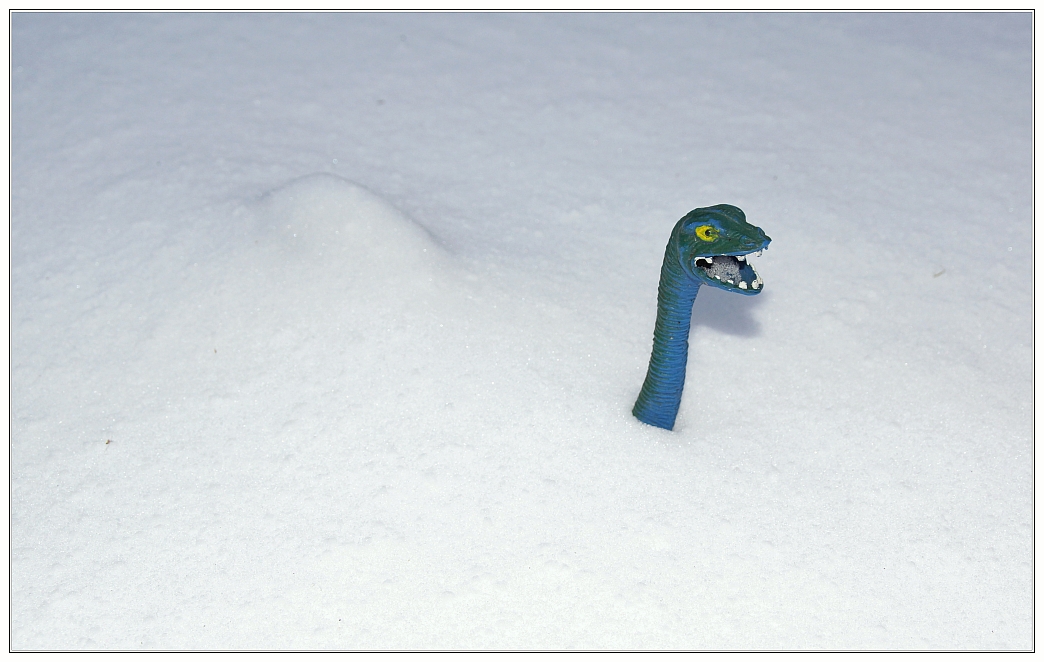 Gefühlte acht Meter Neuschnee