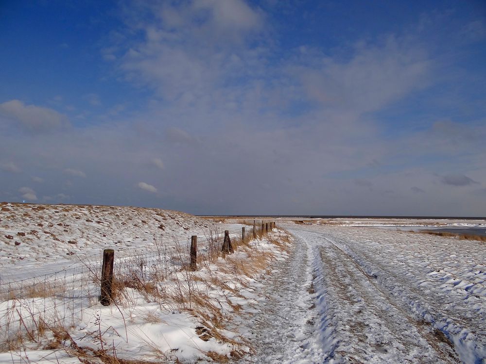 Gefühlte minus 20 Grad