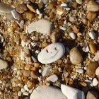 gefunden am Strand- Atlantik