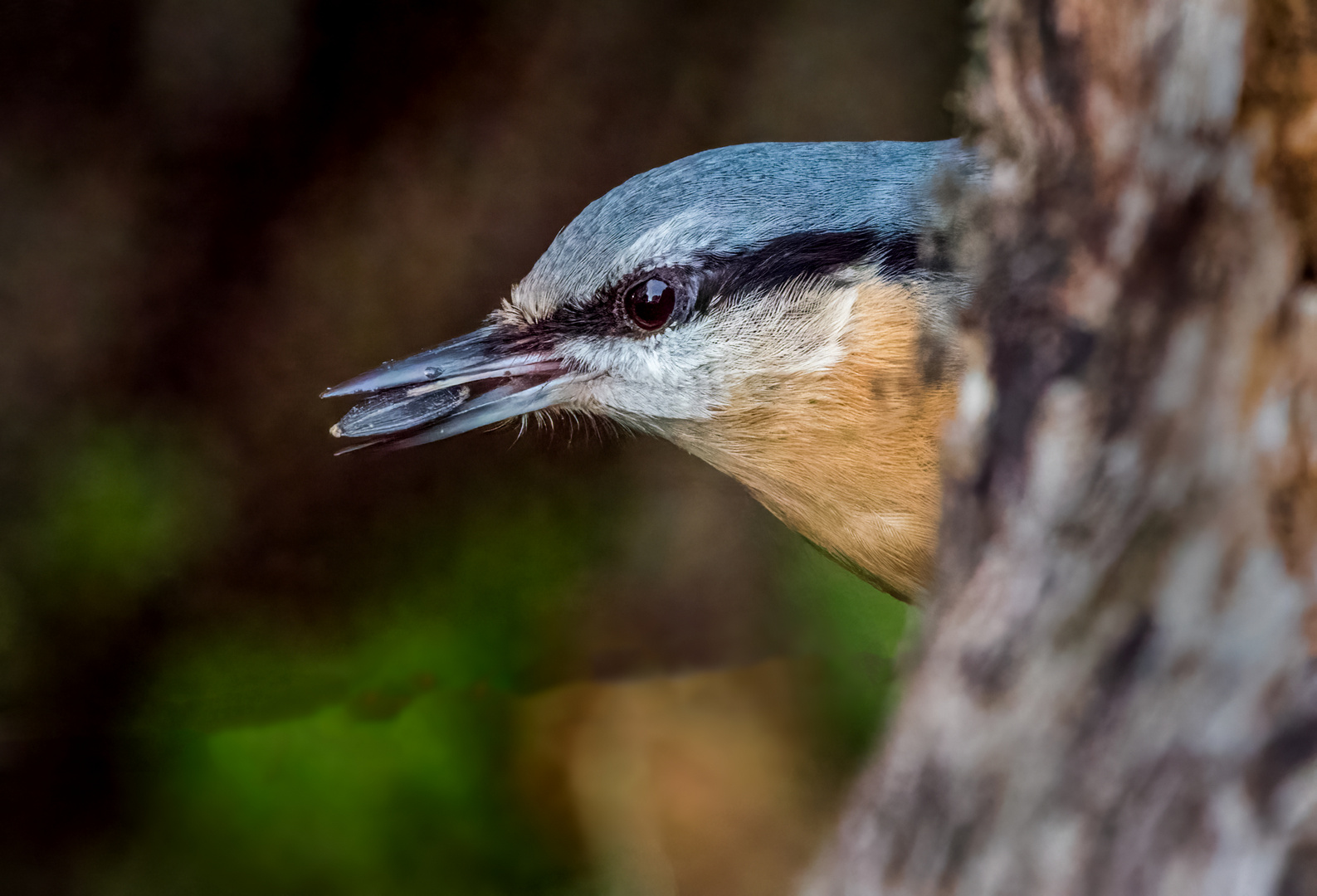 "GEFUNDENES FRESSEN"   (ISO 6400)