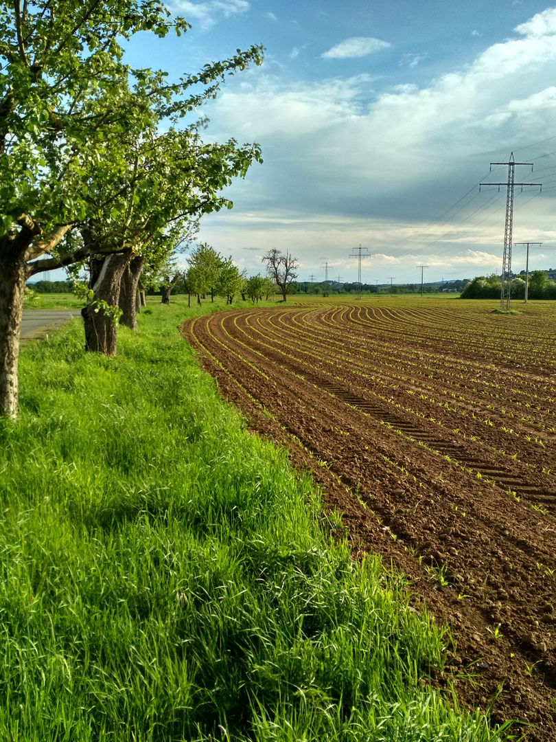 Gefurchtes Feld für Gießen