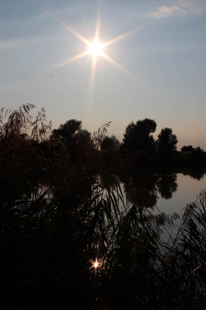 gegen Abend am Baggersee...