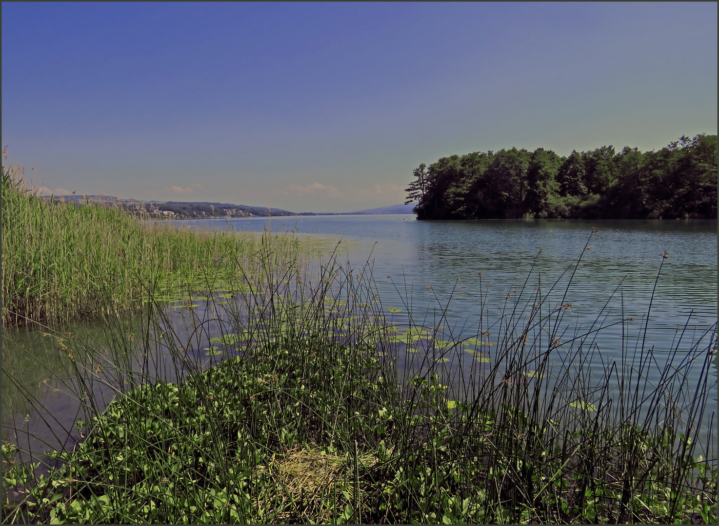 Gegen Abend am See