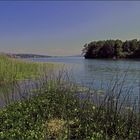 Gegen Abend am See