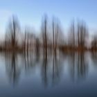 gegen Abend am Weiher