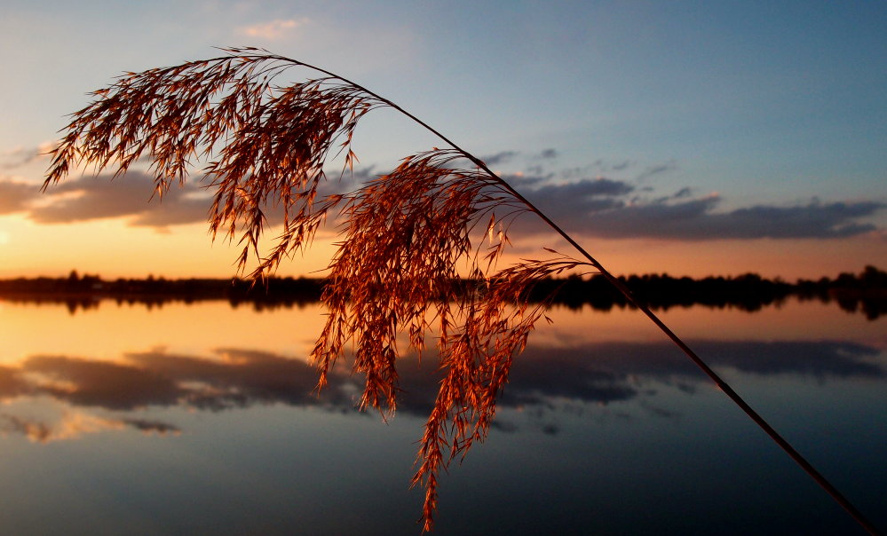 Gegen Abend_2