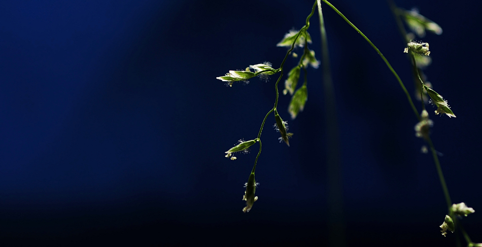 gegen das blaue