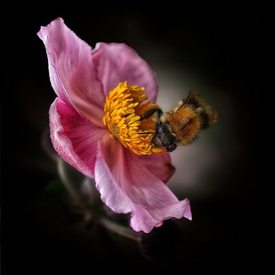 Gegen das öde Grau...