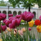 Gegen das Schmuddelwetter…