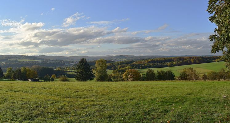 Gegen das trübe Wetter