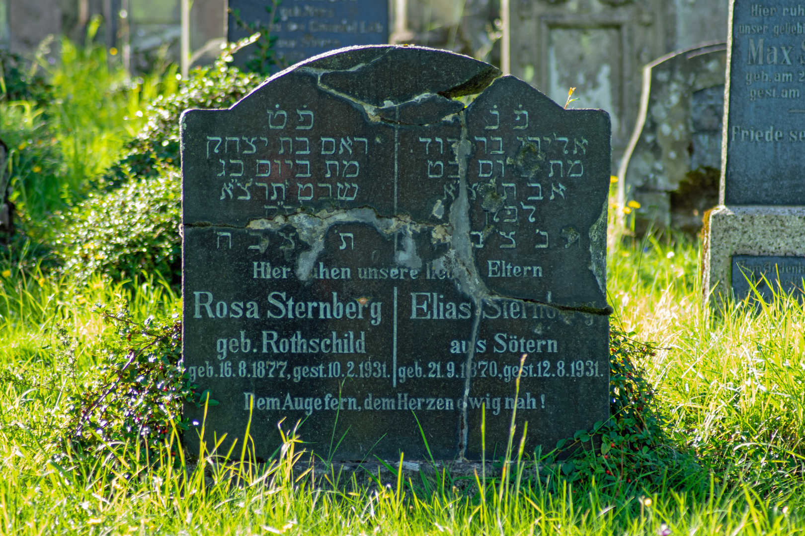 Gegen das Vergessen II - alter jüdischer Friedhof