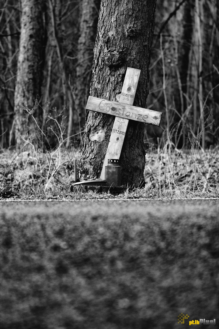 Gegen das Vergessen Kreuz Nr. 2 Constanze