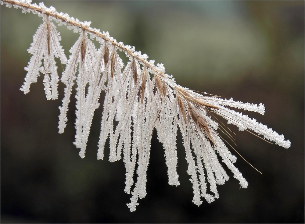 Gegen den Frost...