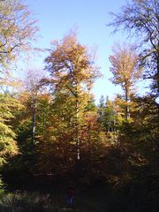 Gegen den Himmel