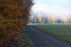 Gegen den Hochnebel