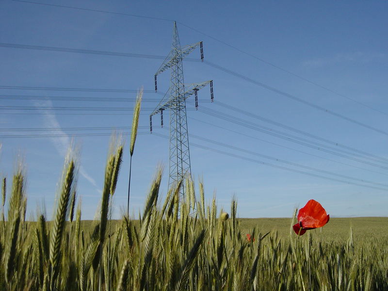 Gegen den Strom