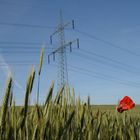 Gegen den Strom