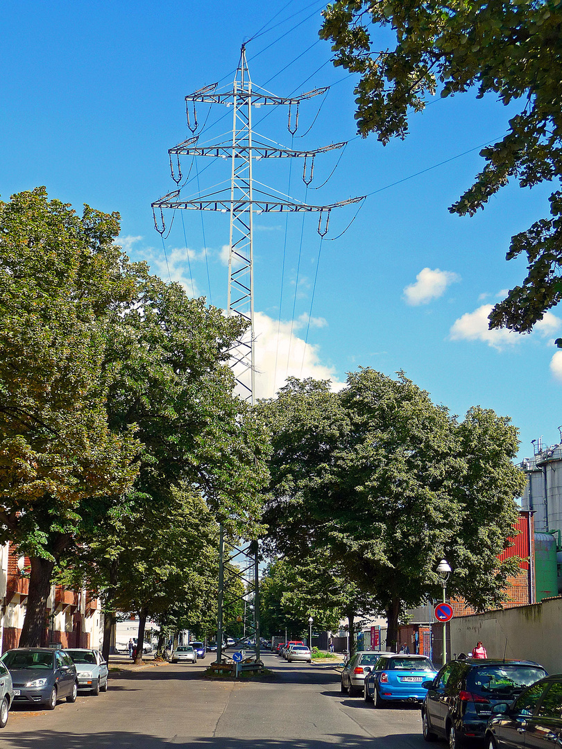 Gegen den Strom