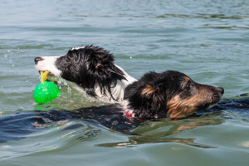 Gegen den Strom schwimmen...