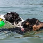 Gegen den Strom schwimmen...