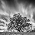 Gegen den Sturm........ 