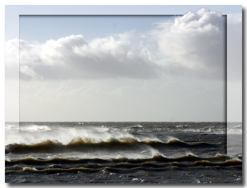 Gegen den Wind