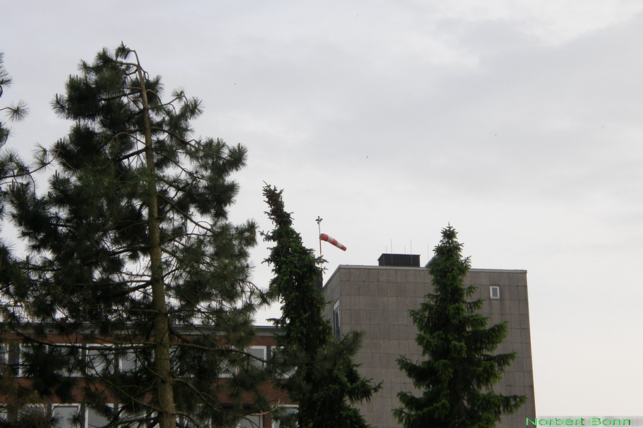 Gegen den Wind (2)