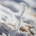 Gegen den Wind